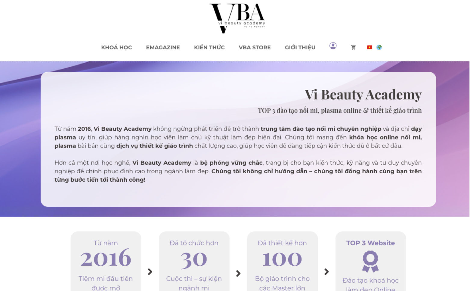 Vi Beauty Academy Website 1