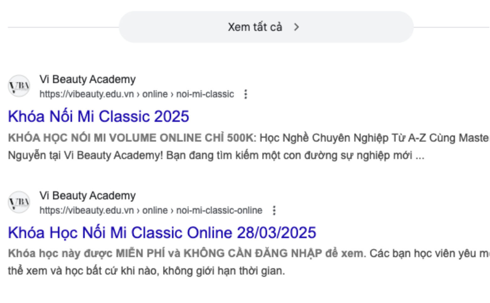 Vi Beauty Academy Website 4